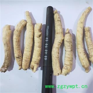 西洋参 新到西洋参个，纯干无硫磺无虫蛀无药残留实物拍摄 产地 吉林省图3