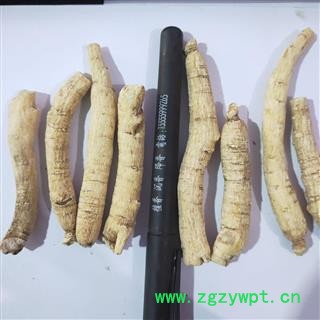 西洋参 新到西洋参个，纯干无硫磺无虫蛀无药残留实物拍摄 产地 吉林省图4