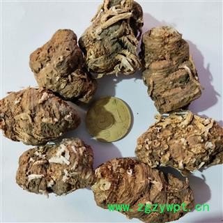 重楼 尼泊尔重楼统货 产地 海外图2