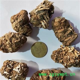 重楼 尼泊尔重楼统货 产地 海外图3