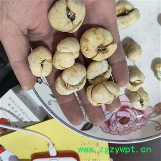 浙贝母 产地直销浙贝母个大浙贝纯干货新货 产地 浙江省图2