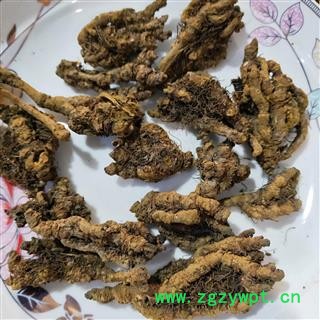 产地直销新货鸡爪黄连，无沫子纯干。一手货源货如图片图3