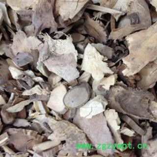 乌药 乌药 天台乌药 统 产地 浙江省图2