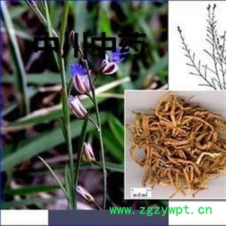 远志  山西特级选货  库存5000可售图3