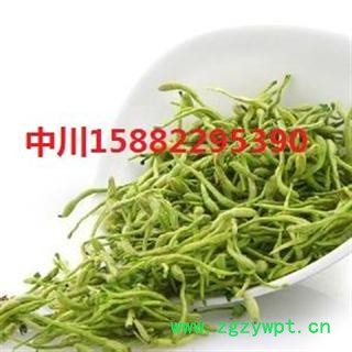 金银花 济银花   河北一级统货  库存图2