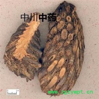 贯众  四川一级统货  库存5000可售图3