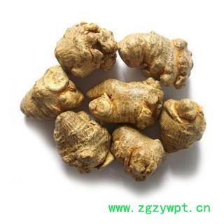 2015云南三七43头，水洗好货   库存500可售图2