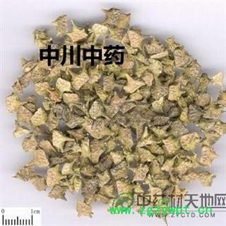 蒺藜  内蒙统货  库存5000可售图3