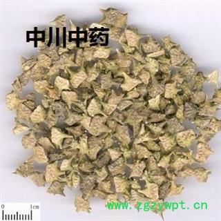 蒺藜  内蒙统货  库存5000可售图2