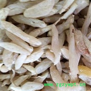 京辉药业 麦冬 寸冬 优质 促销图2