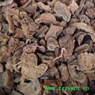 正品 罗锅底 雪胆 蛇莲 优质 促销图2