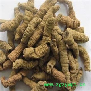 巴戟 巴戟肉 肉肥厚润 产地直销各种规矩 各种价格 产地 广东省图2