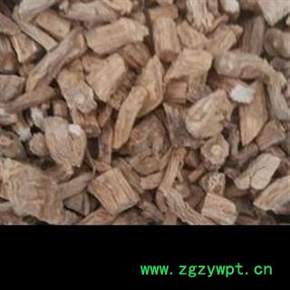 续断 统 产地 四川省图2