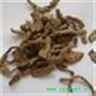 巴戟天 统 产地 广西壮族自治区图2