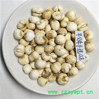 平贝母 手选尖头珍珠平贝1.0 产地 吉林省图2