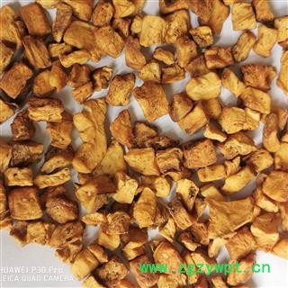 菊苣根 产地直销大货炒菊苣根颜色漂亮货好 产地 甘肃省图2