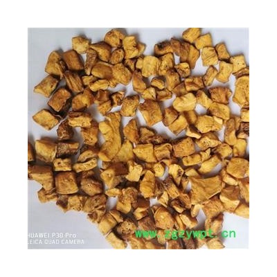 菊苣根 产地直销大货炒菊苣根颜色漂亮货好 产地 甘肃省