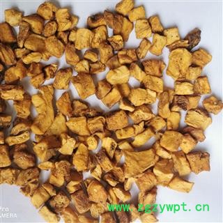 菊苣根 产地直销大货炒菊苣根颜色漂亮货好 产地 甘肃省图3