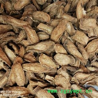 牛蒡茶 产地直销新货炒牛蒡茶小片大小匀称 产地 山东省图3