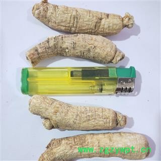 西洋参 新到中大西洋参个纯干无硫磺无虫蛀无药残干净无杂，实物拍摄 产地 吉林省图3