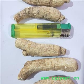 西洋参 新到中大西洋参个纯干无硫磺无虫蛀无药残干净无杂，实物拍摄 产地 吉林省图2