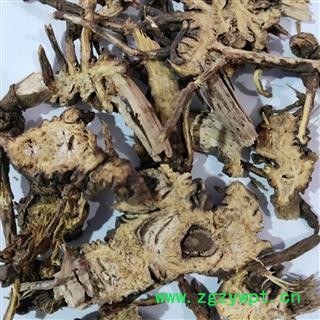 藁本 辽藁本统片 产地 辽宁省图2