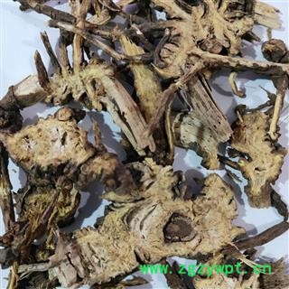 藁本 辽藁本统片 产地 辽宁省图4