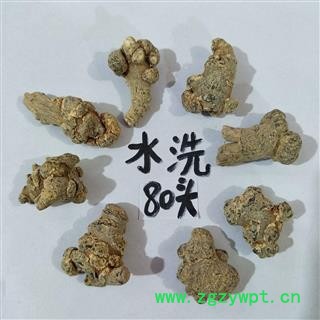 三七 三七80头 产地 云南省图4