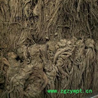 当归个子  精品无硫选货   库存5000可售图3