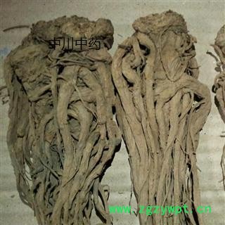 当归个子  精品无硫选货   库存5000可售图2