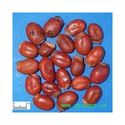 荔枝核   江苏一级统货  库存5000可售