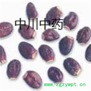 荔枝核 江苏一级统货 库存5000可售图3