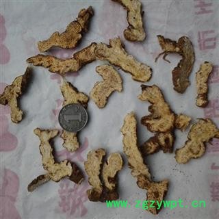 苍术，内蒙统片图3