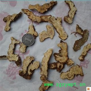 苍术，内蒙统片图2