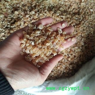 京辉药业 薤白 山蒜 新货 精选图2