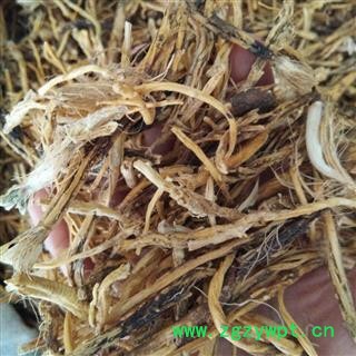 京辉药业 秦艽 野生秦艽个图2