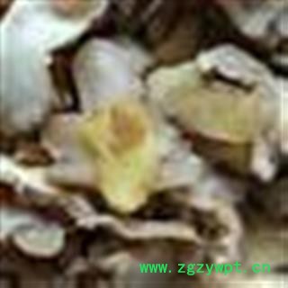 黄精 统 产地 湖南省图2