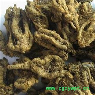 黄连 产地直销新货鸡爪黄连，无沫子纯干。一手货源货如图片图2