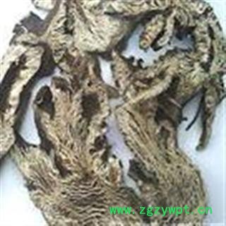 升麻 统 产地 辽宁省图2