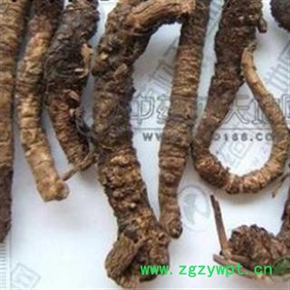 胡黄连 西藏胡黄连选货 产地 西藏自治区图3