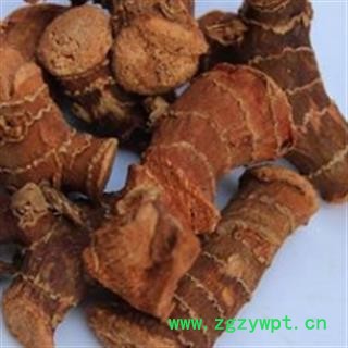 高良姜 高良姜统个 产地 广西壮族自治区图3