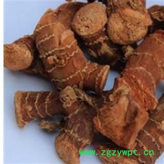 高良姜 高良姜统个 产地 广西壮族自治区图2