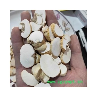 浙贝母白片过0.4筛无沫子杂质今年新货价格优惠品质保证