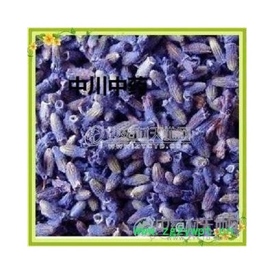 薰衣草 ，新疆货，库存5000可售