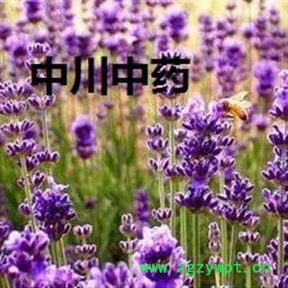 薰衣草 ，新疆货，库存5000可售图3