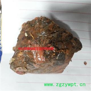 中川阿魏  实图拍摄 含量药过药检  产图3