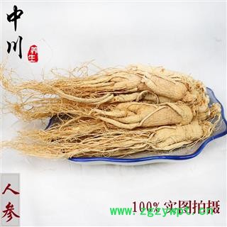 中川精品25支无硫 人参图3