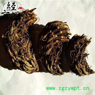 小贯众T 贯众 鸡脑壳 鸡公头 地良姜 鸡头枣 鸡老盖 铁狼鸡 鸡头风尾 乌鸡儿 鸱头鸡 昏头鸡 公鸡头 小昏头鸡 虾公草 虎牙草 岩壁青 茅叶伸筋 小野鸡尾 阉鸡尾 地鸡头 黑狗脊 统 产地 四川省图2