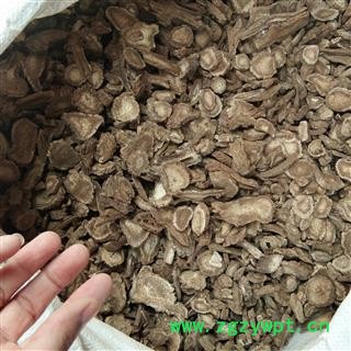 木香 广木香 正品 促销图2