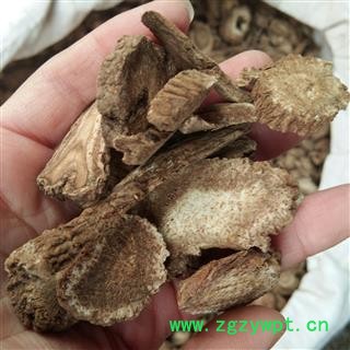 木香 广木香 正品 促销图3